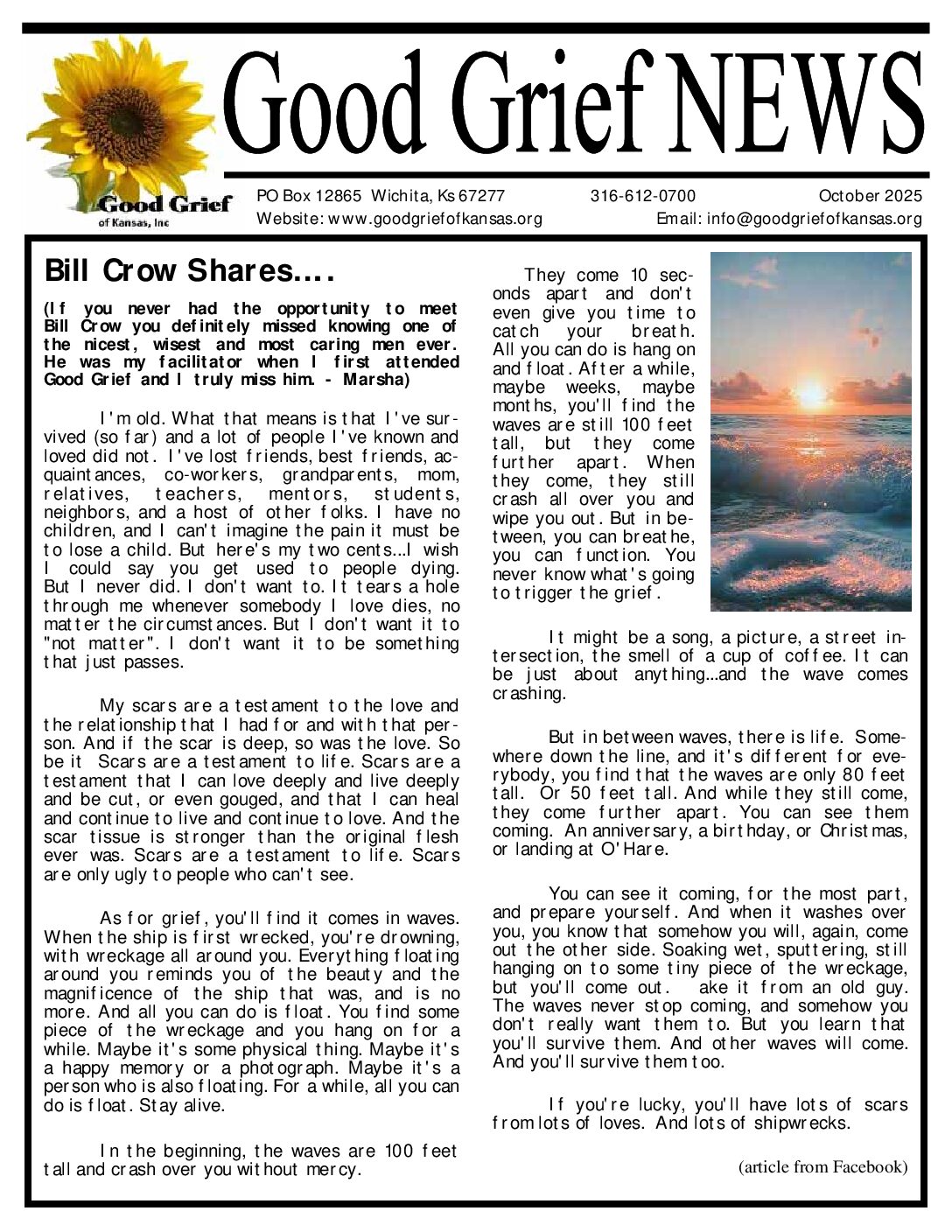 PDF preview