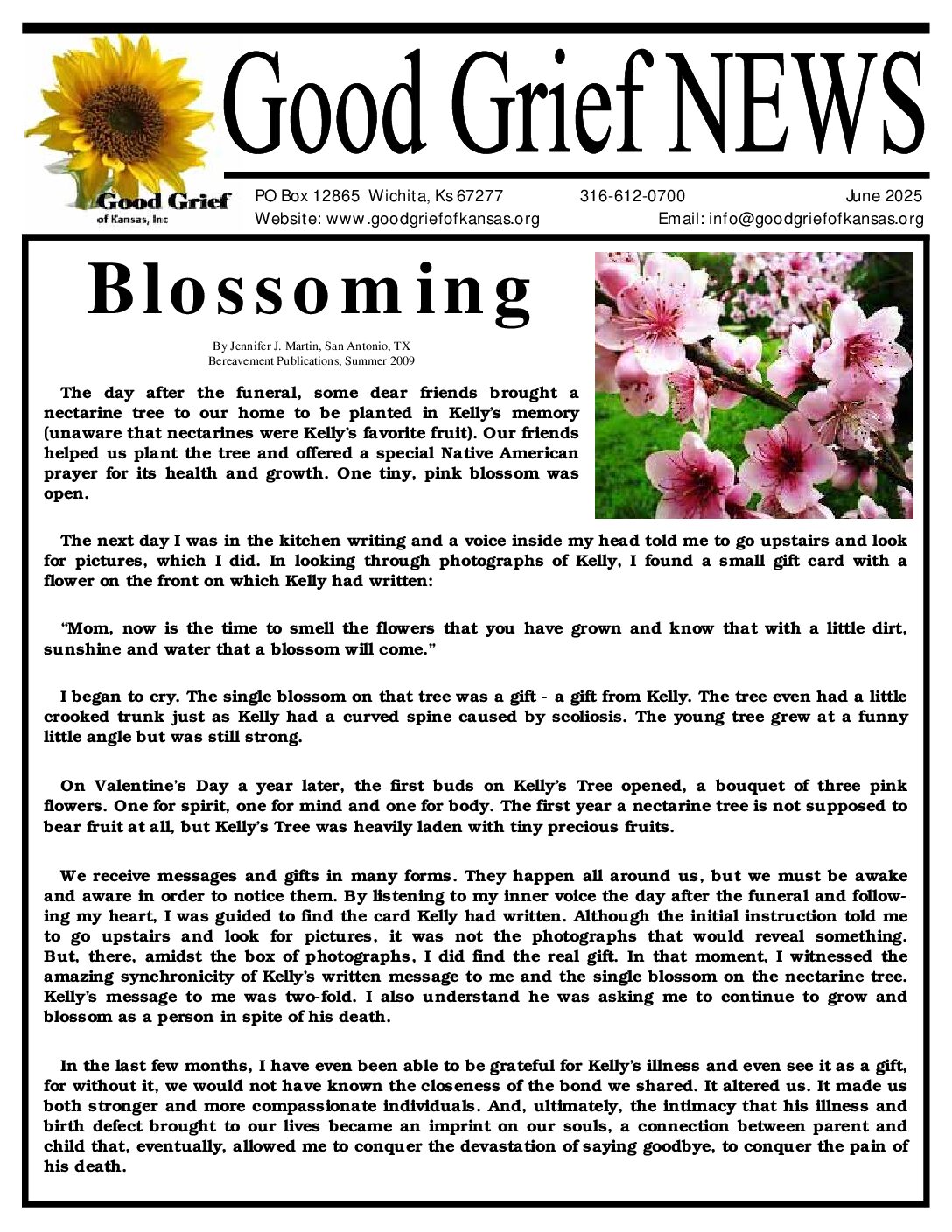 PDF preview
