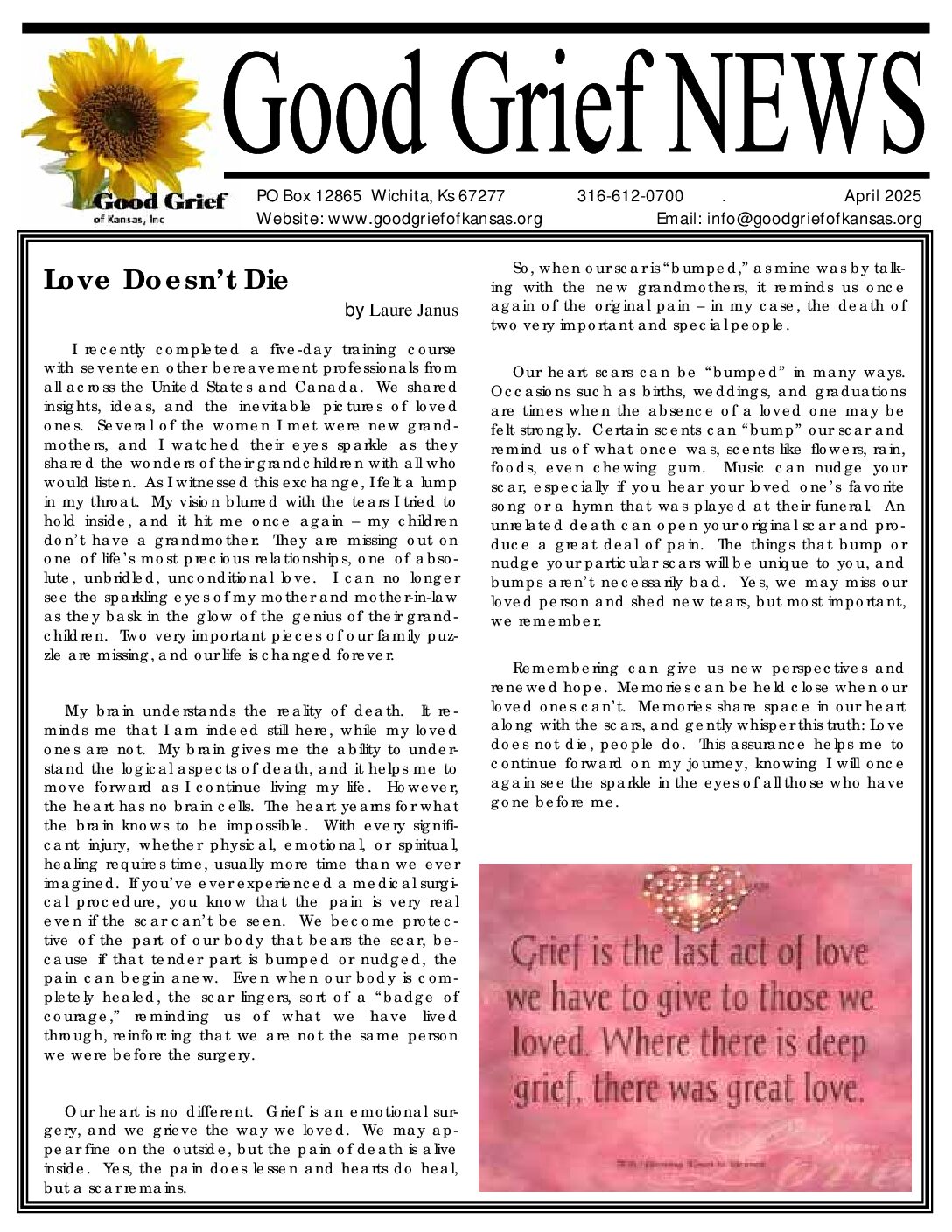 PDF preview