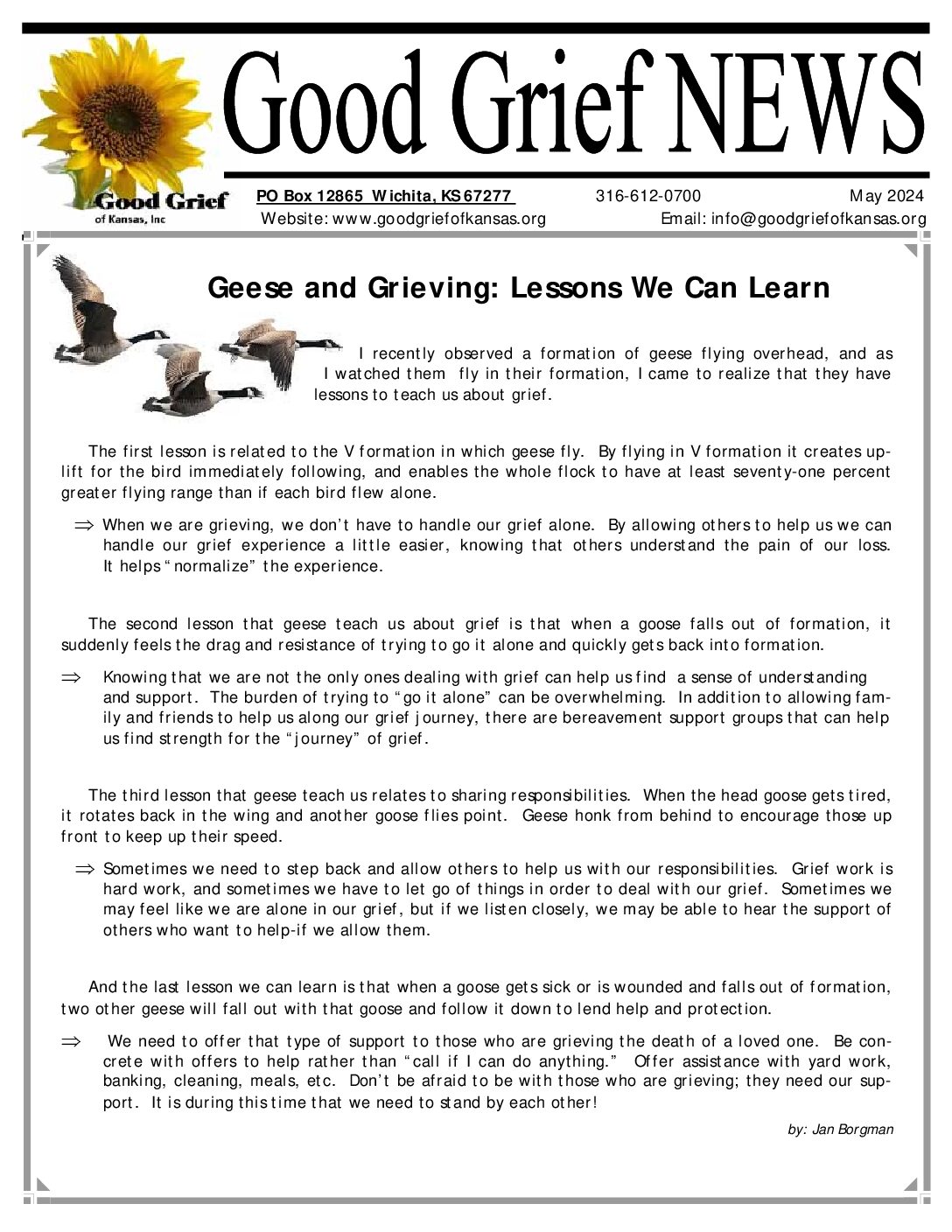 PDF preview